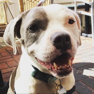 Meet your Posher, Jaslynn